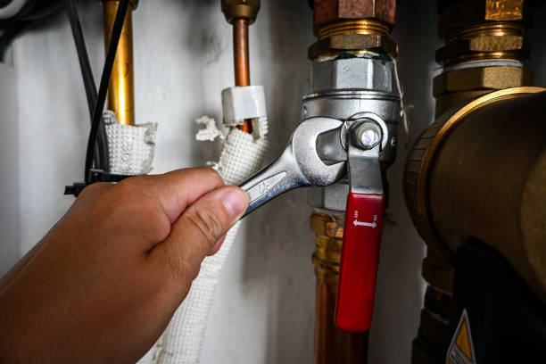 Best Local Plumber Services  in Big Sandy, TX